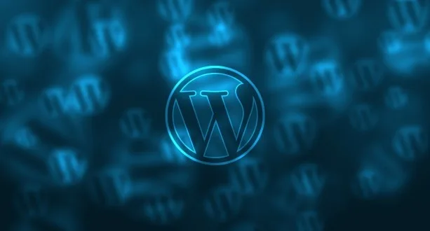 WordPress Plugin Development 2 AMC (3)