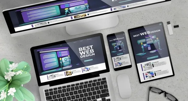 CMS Web Development 3 development