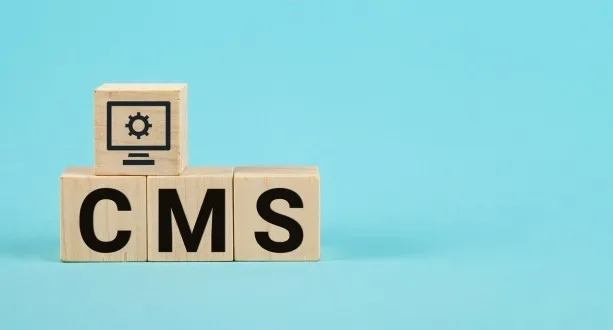 CMS Web Development 2 Digital Marketing (6)