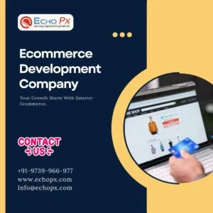 Ecommerce Development Company