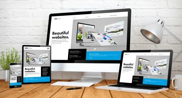 Responsive Website Design
