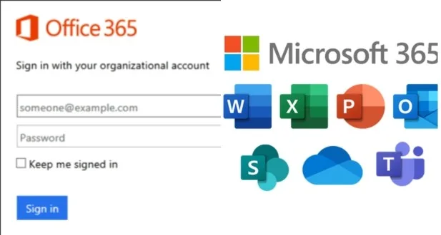 How to Get Started with Microsoft 365 for small business 3 Setting Up Your Microsoft 365 Account