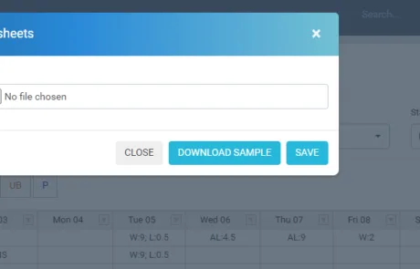 Timesheets-9