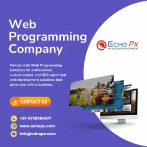 Web Programming Company