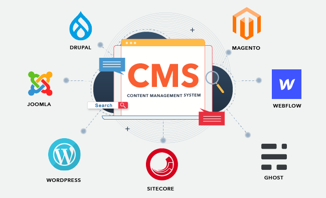 Website CMS