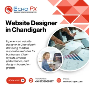 Website Designer in Chandigarh