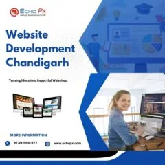 Website Development Chandigarh