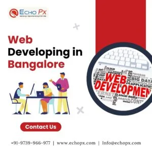 web developing in bangalore