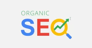 organic seo in bangalore