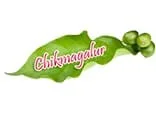 Website Redesign Services in bangalore 11 Chikmagalurinfo