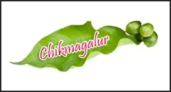 chikmangaluru logo