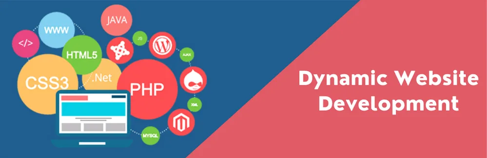Difference Between Static and Dynamic Website Development