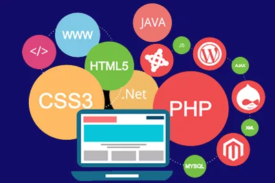 Dynamic Website Design in bangalore