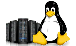 linux.png