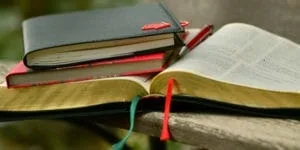 Social Bookmarking Websites