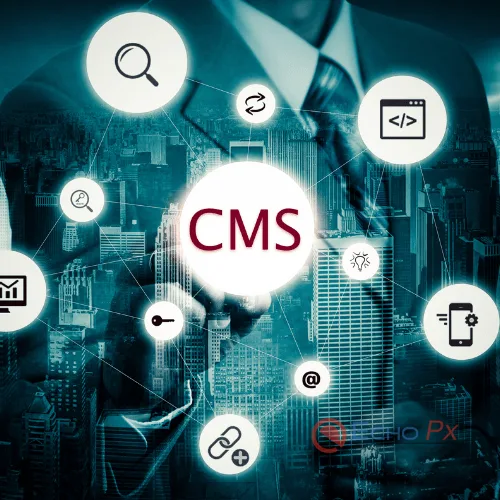 cms company bangalore