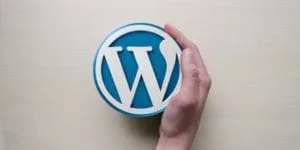 WordPress Web Development 8 wordpress-web-design_echopx-technologies