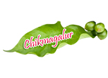 chikmagalurinfo