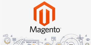 magento-web-design-echopx-technologies