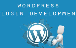 wordpress-plugin-development-echopx-technologies