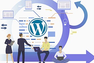 wordpress