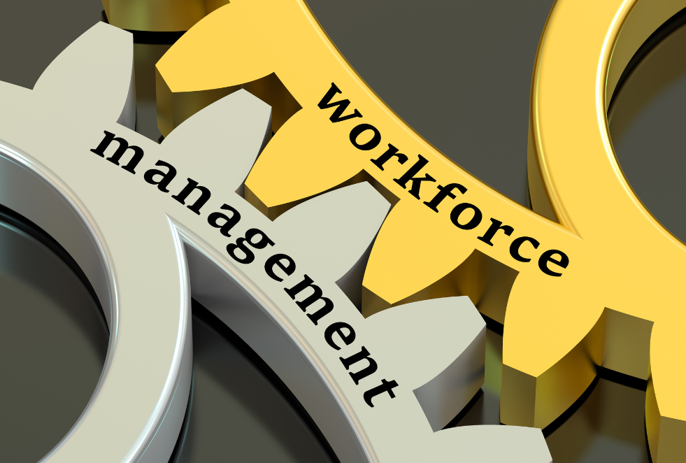 Management of the Workforce