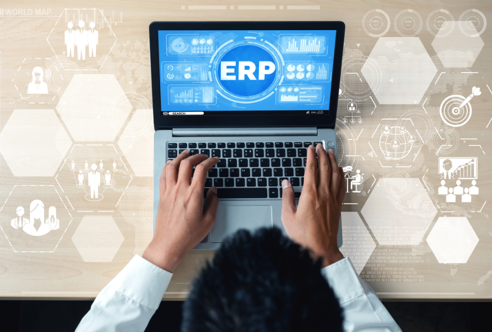 functions of ERP software