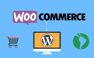WooCommerce website in bangalore
