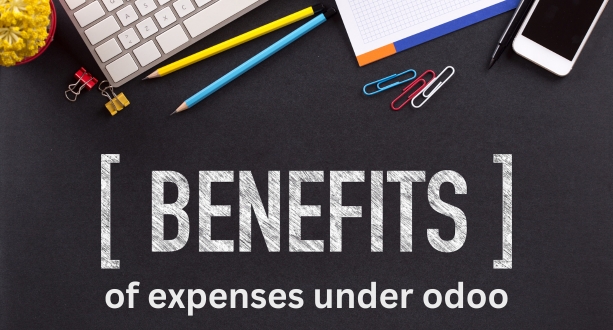 Benefits of expenses under odoo