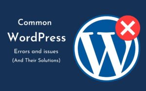 common-wordpress-error-issue