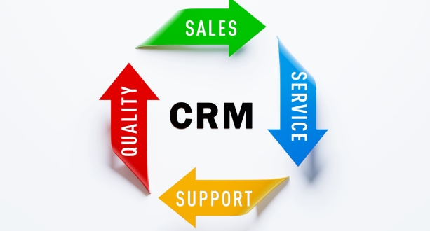 Salesforce CRM Government Solutions (1)