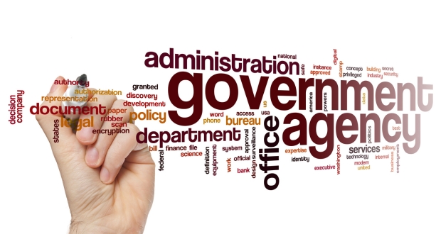 Salesforce CRM Government Solutions (2)
