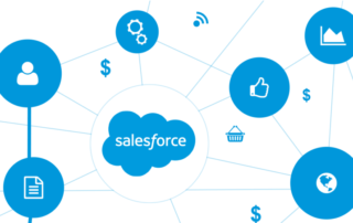 Salesforce CRM Training and Support