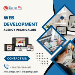 website design | website design and development services
